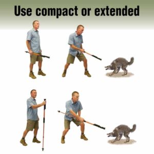 Hike ‘n Strike Stun Walking Cane